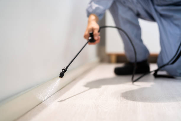 Licensed Termite Control service in Bear Creek, AK - Nex Pest Control