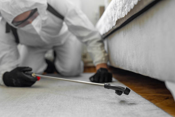 Professional Termite Control technician working in Bear Creek, AK