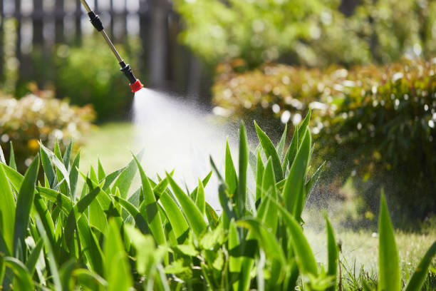 24/7 Emergency Termite Control experts in Bear Creek, AK