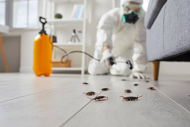 Trusted Rodent Control service in Bear Creek, AK - Nex Pest Control
