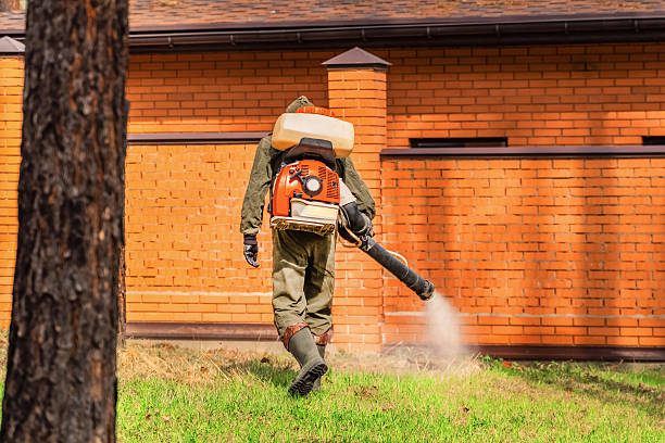Trusted Emergency Pest Control service in Bear Creek, AK - Nex Pest Control
